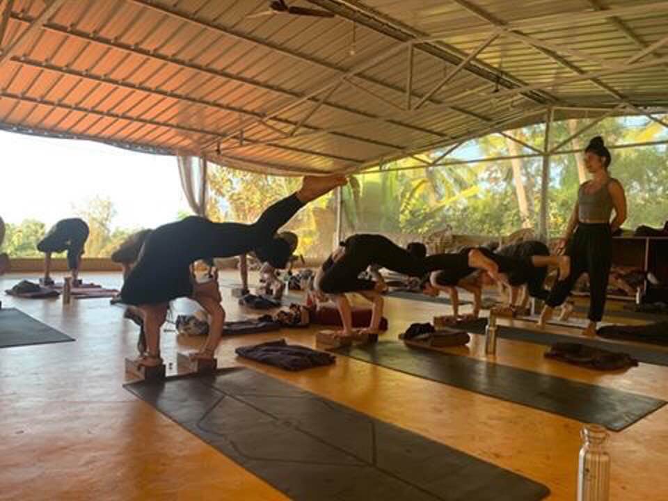 ashtanga yoga teacher training India